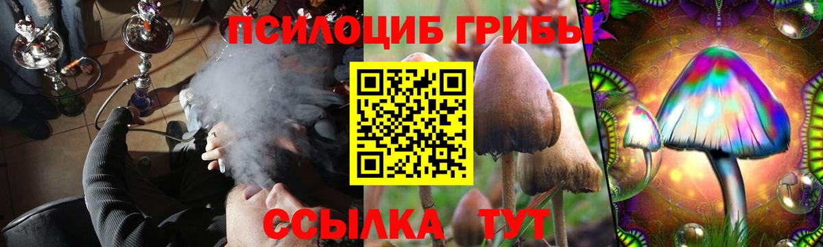 Галлюциногенные грибы Psilocybine cubensis  Вход с VPN  Старая Купавна 